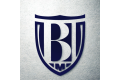 Bold Talent Management logo