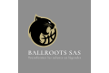 Logo de BALLROOTS