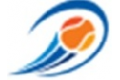Logo de Diamond Sports Consultancy Ltd
