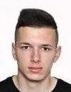 Alden Besic - giocatore del Karriereende