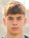 Aljosa Vasic - Palermo FC futbolcusu