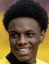 Alvyn Sanches - BSC Young Boys futbolcusu