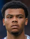 Dane Scarlett - Hibernian FC futbolcusu