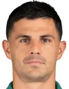 Danijel Aleksic - Spieler von Corum FK