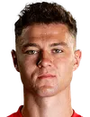 David Skubl - Wolfsberger AC futbolcusu