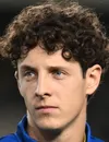 Domagoj Bradarić - Hellas Verona futbolcusu