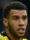 Étienne Capoue - joueur du Karriereende
