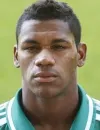 Gerson - Nova Venécia FC futbolcusu