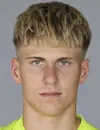 Harald Postl futbolcu profil fotoğrafı
