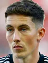 Harry Wilson - joueur du FC Fulham