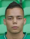 Henk Bos - jugador del Kariyer sonu