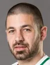 Ivan Tatomirovic - giocatore del Karriereende