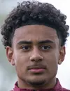 Joachim Williamson - giocatore del Grasshopper Club Zürich U21