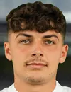 Joscha Wosz - giocatore del Hallescher FC