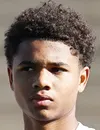 Liam West - FC Kopenhagen futbolcusu