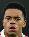 Lino Sousa - Rotherham United futbolcusu