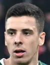 Lorenzo Palmisani - Frosinone Calcio futbolcusu