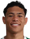 Luis Pacheco - SE Palmeiras São Paulo futbolcusu