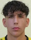 Luka Frano Beric photo de profil du footballeur
