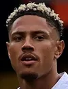 Maduka Okoye - Udinese Calcio futbolcusu