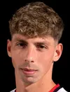 Manuel Holzmann - Admira Wacker futbolcusu
