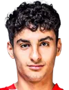 Martin Adeline - giocatore del ESTAC Troyes