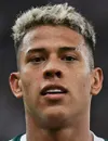 Matheus Martins - Botafogo Rio de Janeiro futbolcusu