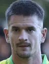 Mirko Topić - giocatore del Norwich City