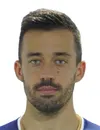Nemanja Nikolic - Karriereende player