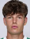 Nicolas Bajlicz - giocatore del SV Ried