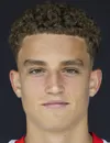Nicolas Jozepovic - giocatore del SK Rapid Wien II