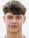 Nikola Sarcevic - FC Liefering futbolcusu
