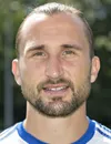 Petr Jiracek futbolcu profil fotoğrafı