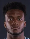 Rodney Wallace futbolcu profil fotoğrafı