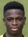 Romaric Yapi futbolcu profil fotoğrafı