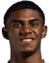 Wallace Davi - Botafogo Rio de Janeiro futbolcusu
