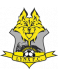 Lynx FC