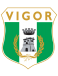 Vigor Lamezia