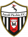Ascoli Picchio