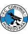 Corvinul