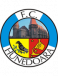 FC Hunedoara