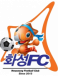 Hwaseong FC