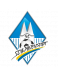 Schwanenstadt