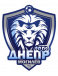 Dnepr Mogilev logosu