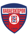 Babaeskispor
