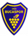 1928 Bucaspor