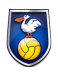 Pelikaan