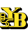 BSC Young Boys