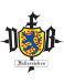 VfB Fallersleben logosu