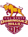 CSUDH Toros